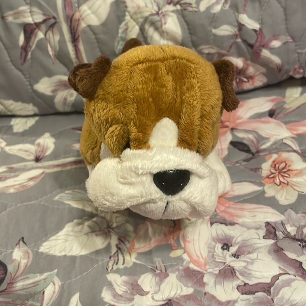 Webkinz Ganz bull dog plush- no paperwork, just the stuffed dog.
